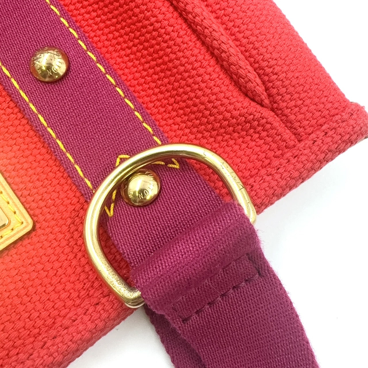 LOUIS VUITTON HIPPOPOTAMUS PM ANTIGUIA HANDBAG